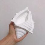Big Shell Shaped Mold - Image 5
