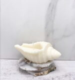 Big Shell Shaped Mold - Image 2