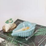 Big Shell Shaped Mold - Image 4