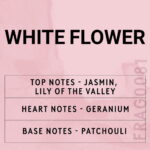 WHITE FLOWER FRAGRANCE OIL 100ml - Image 2
