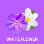 WHITE FLOWER FRAGRANCE OIL 100ml