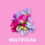 MULTIFLORA FRAGRANCE OIL 100ml