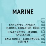 MARINE FRAGRANCE OIL 100ml - Image 2
