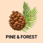 PINE & FOREST FRAGRANCE OIL 100ml - Image 2