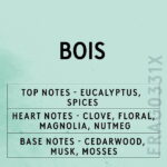 BOIS FRAGRANCE OIL 100ml - Image 3