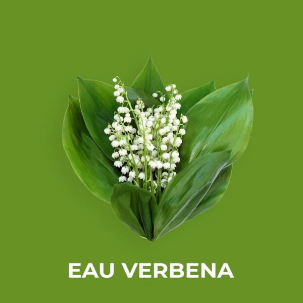 EAU VERBENA FRAGRANCE OIL 100ml