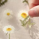 Flower Stickers, for Decorating - Image 4