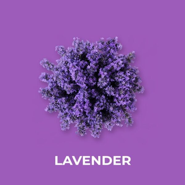 ROYAL LAVANDER FRAGRANCE OIL 100ml