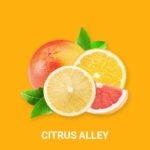 CITRUS ALLEY FRAGRANCE OIL 100ml - Image 2