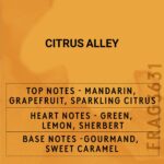 CITRUS ALLEY FRAGRANCE OIL 100ml - Image 3