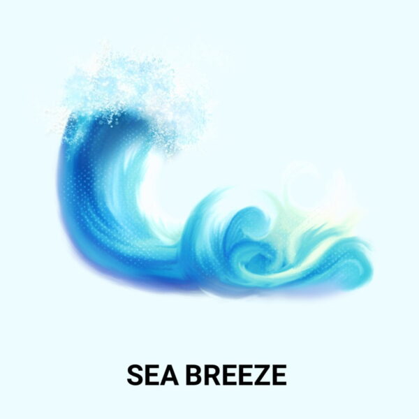 SEA BREEZE FRAGRANCE OIL 100ml