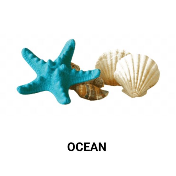 OCEAN FRAGRANCE OIL 100ml