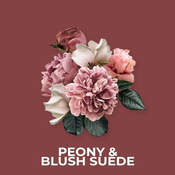 PEONY & BLUSH SUEDE FRAGRANCE OIL 100ml
