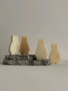 Grizzly Bear Shape Mold - Image 9