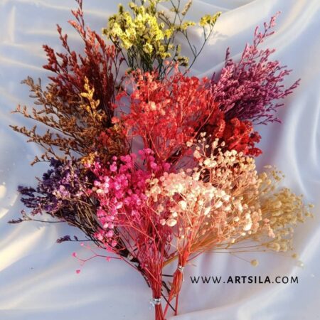 Natural Dried Flowers - All Colors