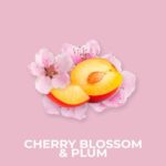 CHERRY BLOSSOM & PLUM FRAGRANCE OIL 100ml - Image 2