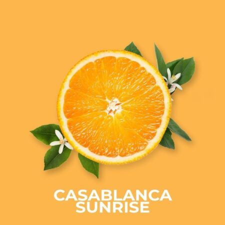 CASABLANCA SUNRISE FRAGRANCE OIL 100ml - Image 2