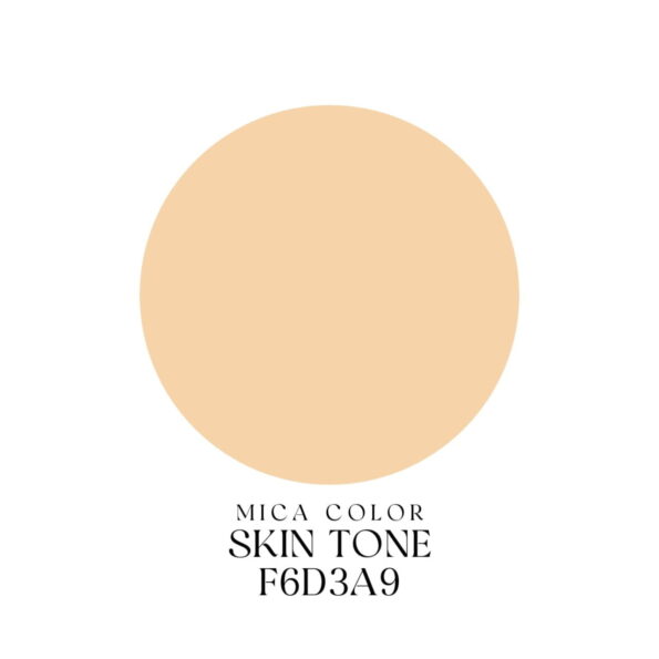 20 Mica Colors / 10g Artsila