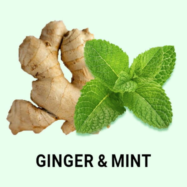 GINGER AND MINT FRAGRANCE OIL 100ml