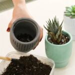 Candle Jar Molds - Image 6