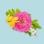 PARISIENNE SPRING FRAGRANCE OIL 100ml