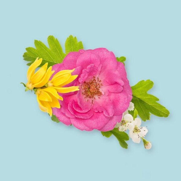 PARISIENNE SPRING FRAGRANCE OIL 100ml