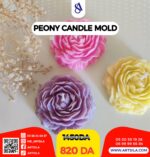 قالب زهرة الجوري - Image 10