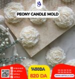 قالب زهرة الجوري - Image 13