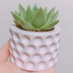 New Concrete Silicone Mold - Image 4