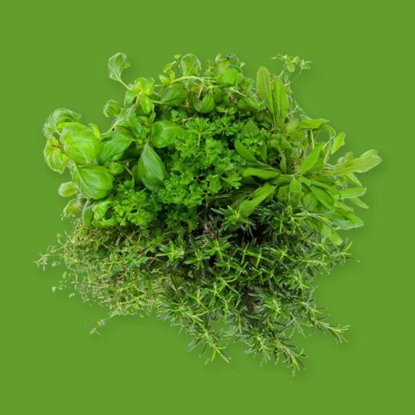 TUSCAN HERBS FRAGRANCE OIL 100mm