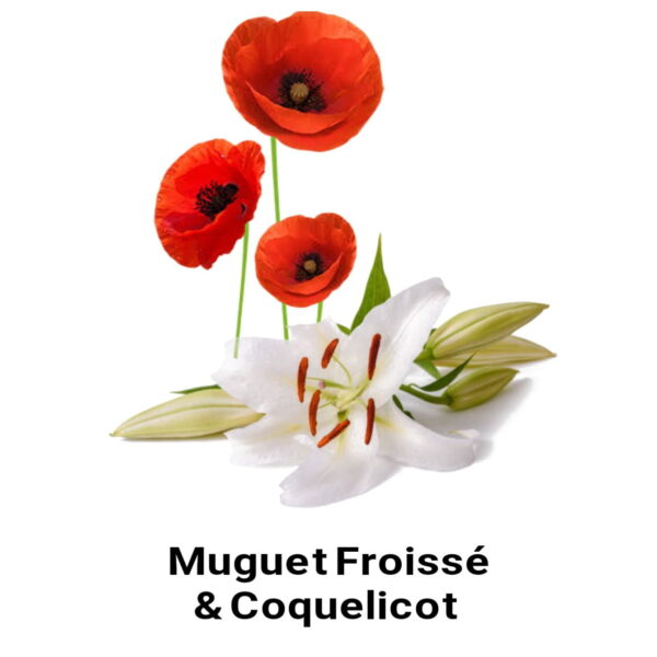 Muguet Froissé & Coquelicot Fragrance Oil 100ml