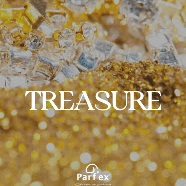 Treasure Fragrance Oil 100ml