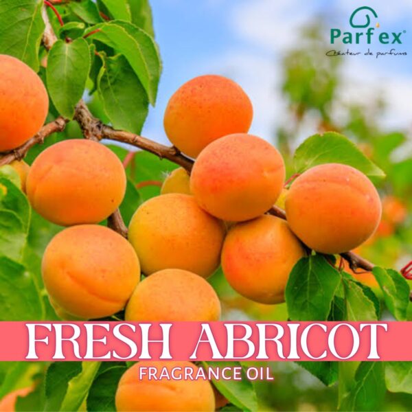 Fresh Abricot Fragrance Oil 100ml