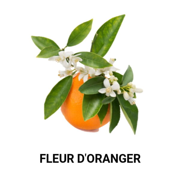 FLEUR D'ORANGER FRAGRANCE OIL 100ml