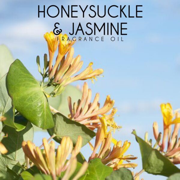 HONEYSUCKLE & JASMIN FRAGRANCE OIL 100ml