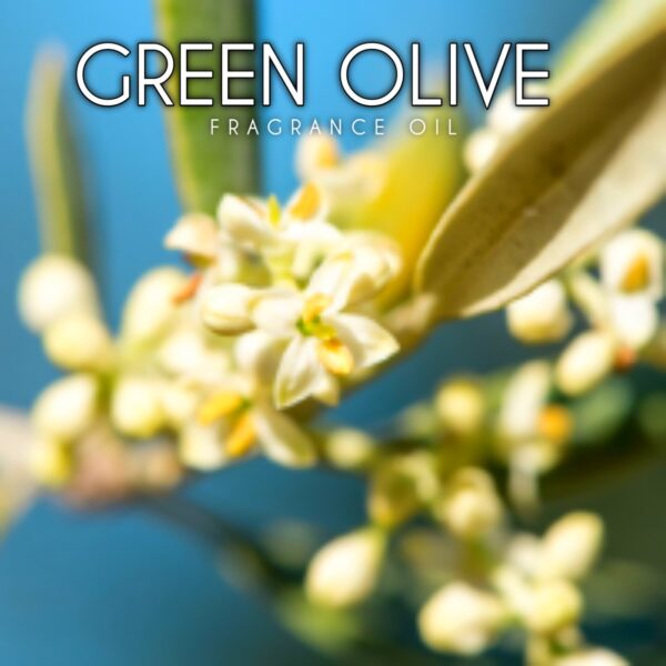 OLIVE BLOOM FRAGRANCE OIL 100ml