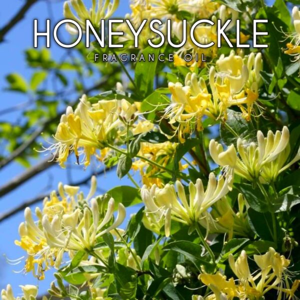 HONEYSUCKLE FRAGRANCE OIL 100ml