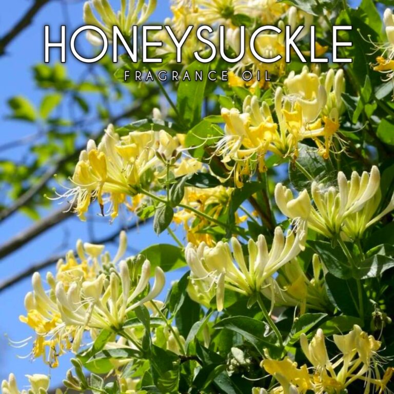 HONEYSUCKLE FRAGRANCE OIL 100ml