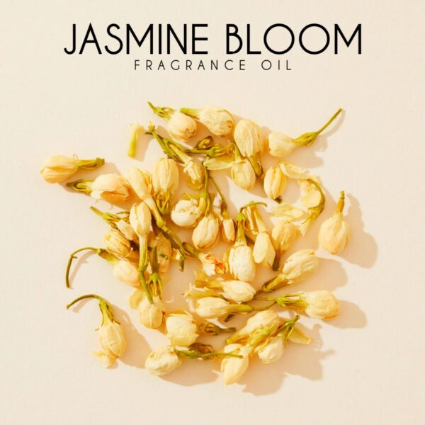 JASMIN BLOOM FRAGRANCE OIL 100ml