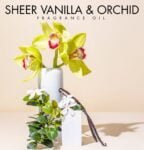 SHEER VANILLA & ORCHID FRAGRANCE OIL 100ml