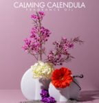CALMING CALENDULA FRAGRANCE OIL 100ml