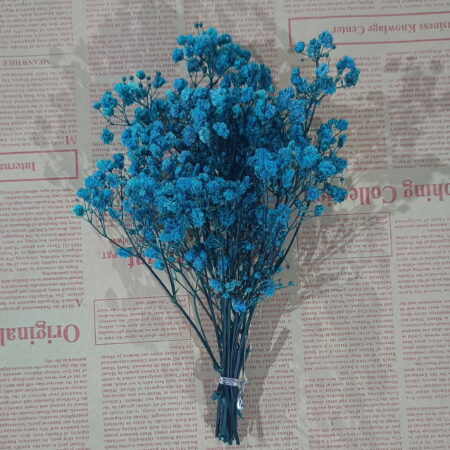 Natural Dried Flowers - Blue-Green