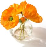 Glass Bottle Jar With Cock Lid - Image 4