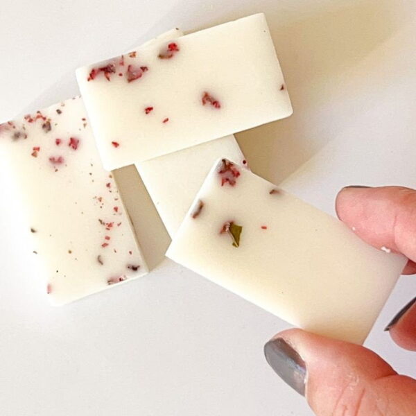 12 Cavities Rectangular Shape Wax Melt Mold