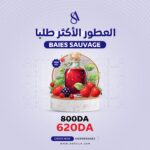 BAIES SAUVAGE FRAGRANCE OIL 100ML