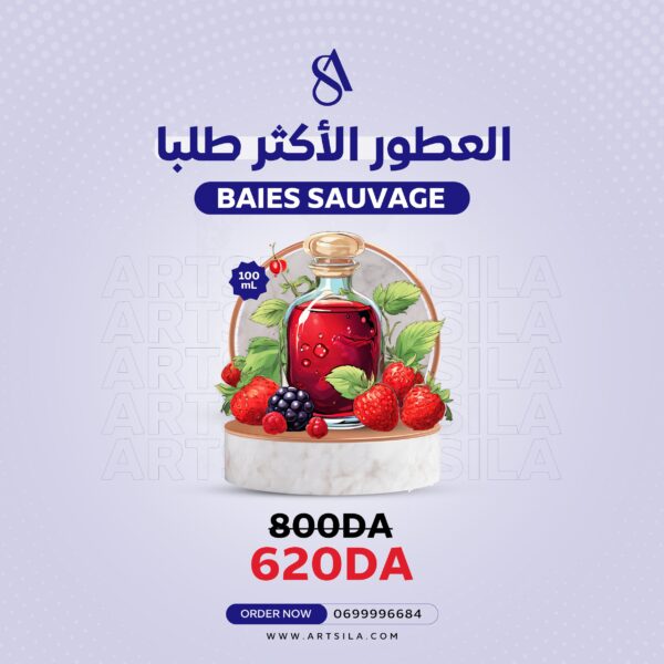 BAIES SAUVAGE FRAGRANCE OIL 100ML