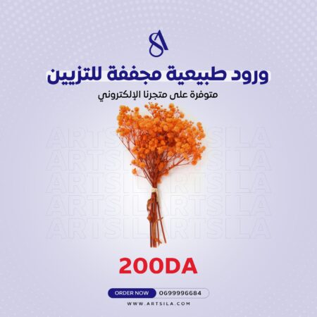 Natural Dried Flowers - Orange