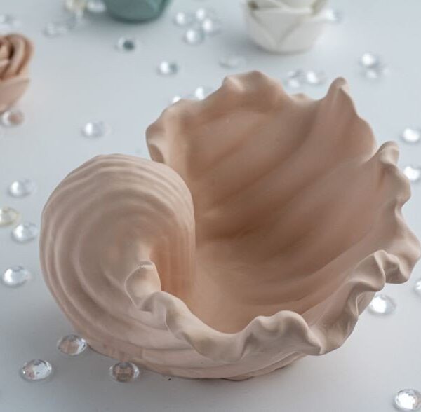 Seashell Shape Mold