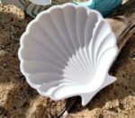 Mini Shell Mold - Image 3