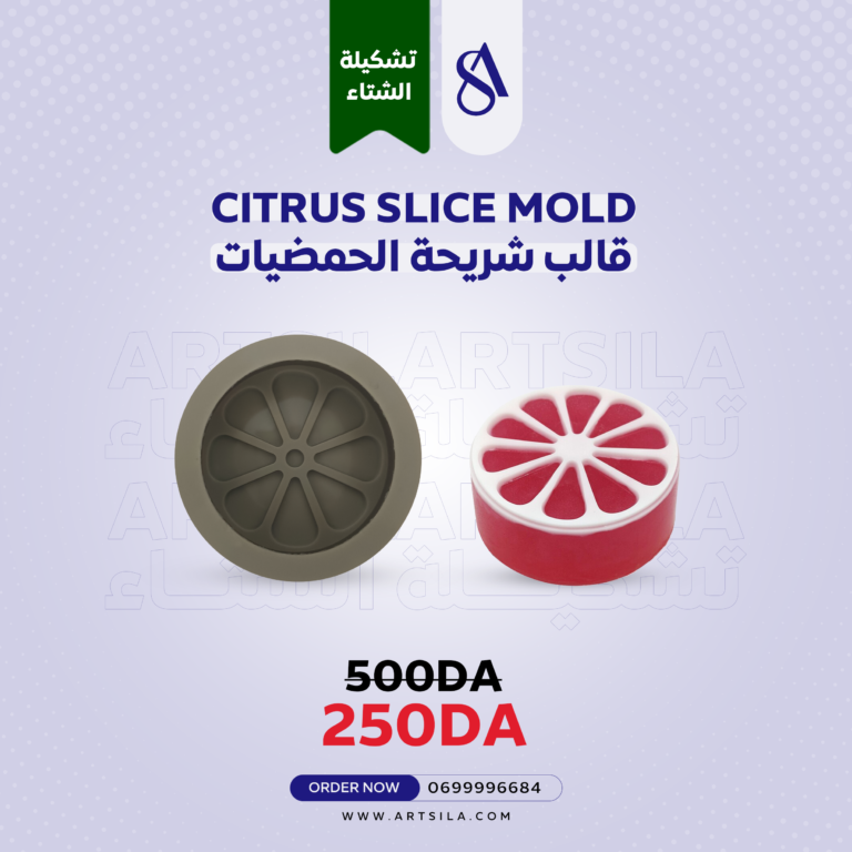 CITRUS SLICE MOLD